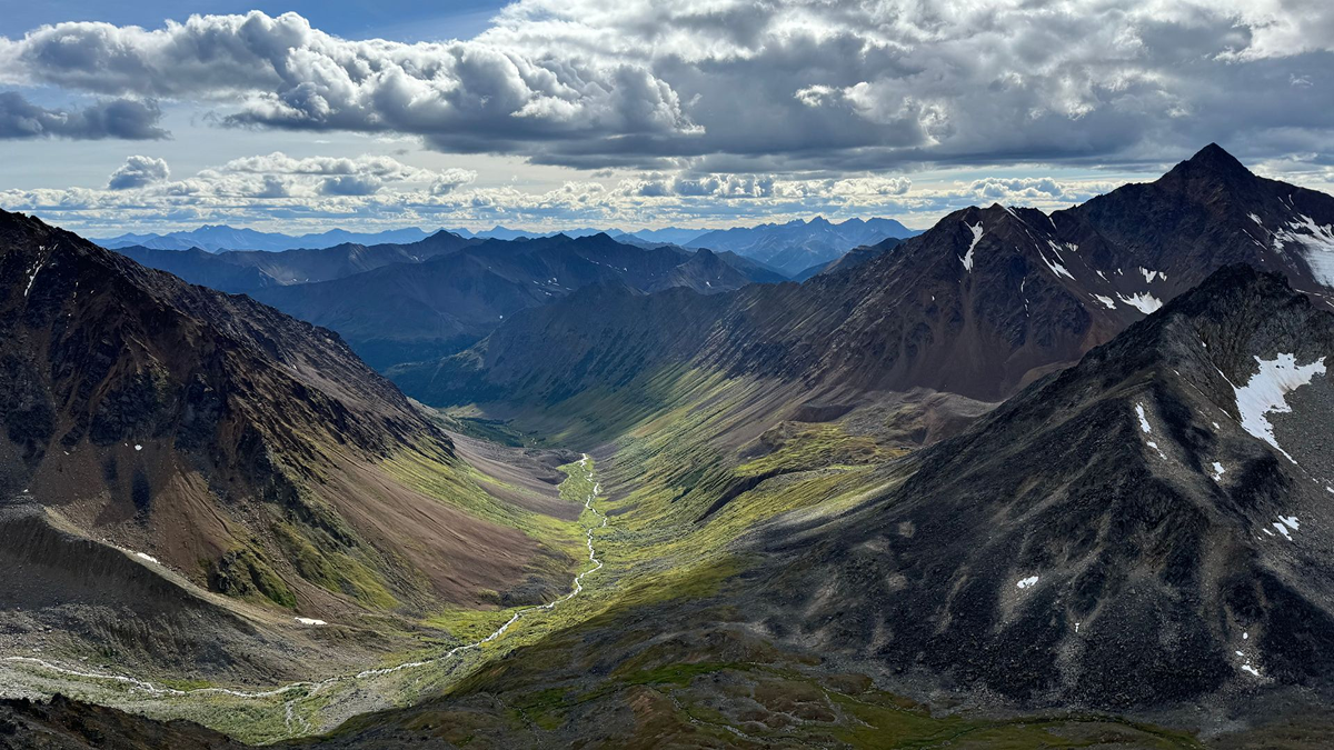 land image
