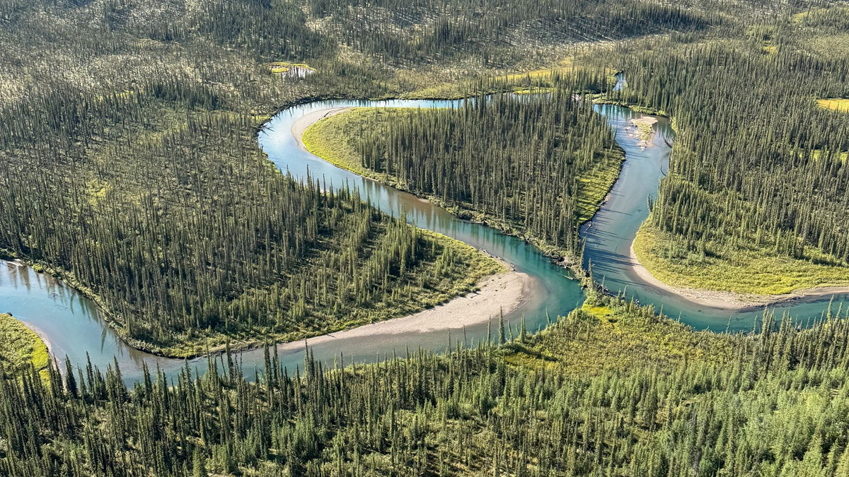 land image